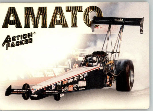 Joe Amato - 1994 Action Packed NHRA - #17 - Racing