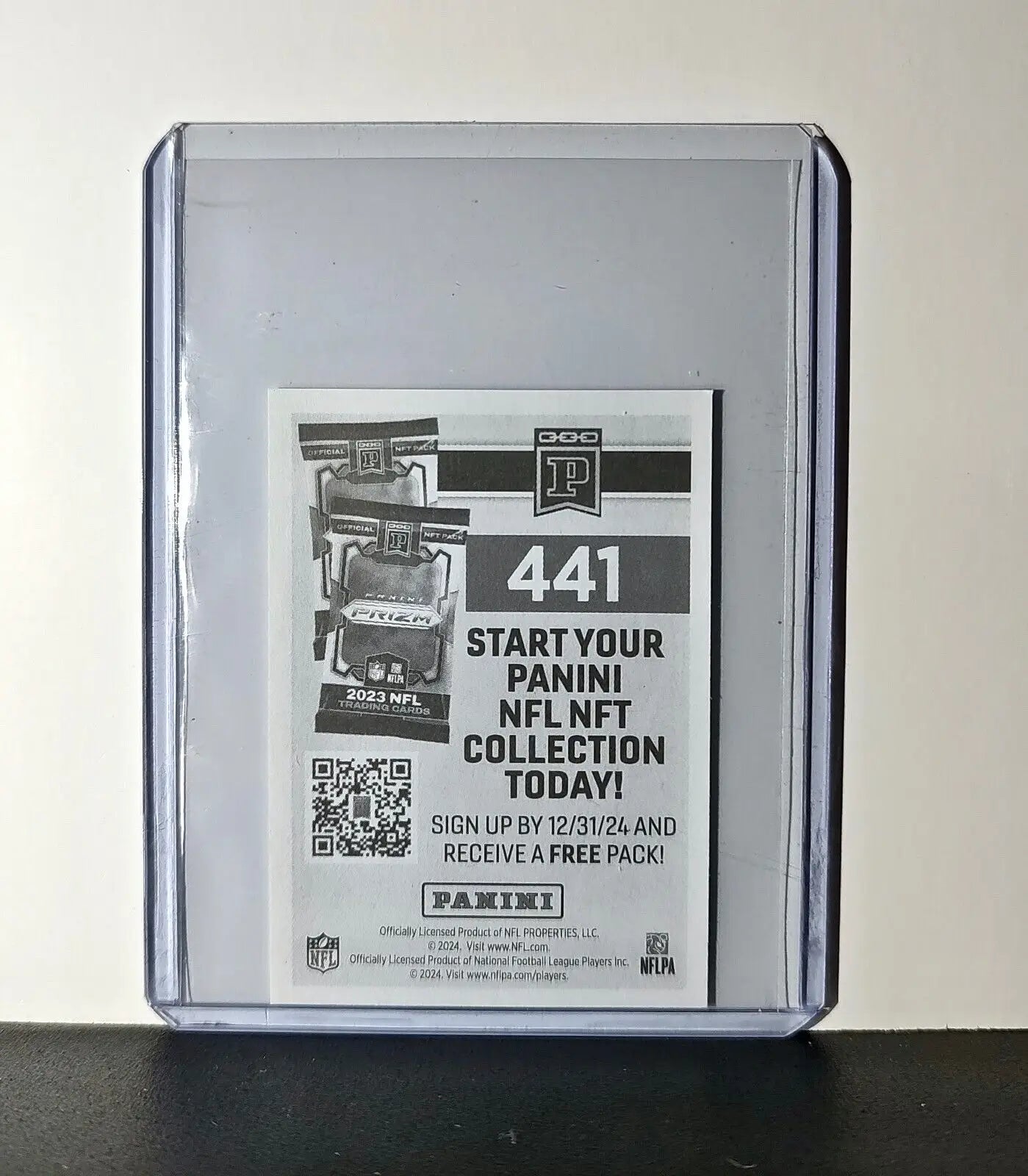 Logo 2024 Panini NFL Sticker #441 Carolina Panthers