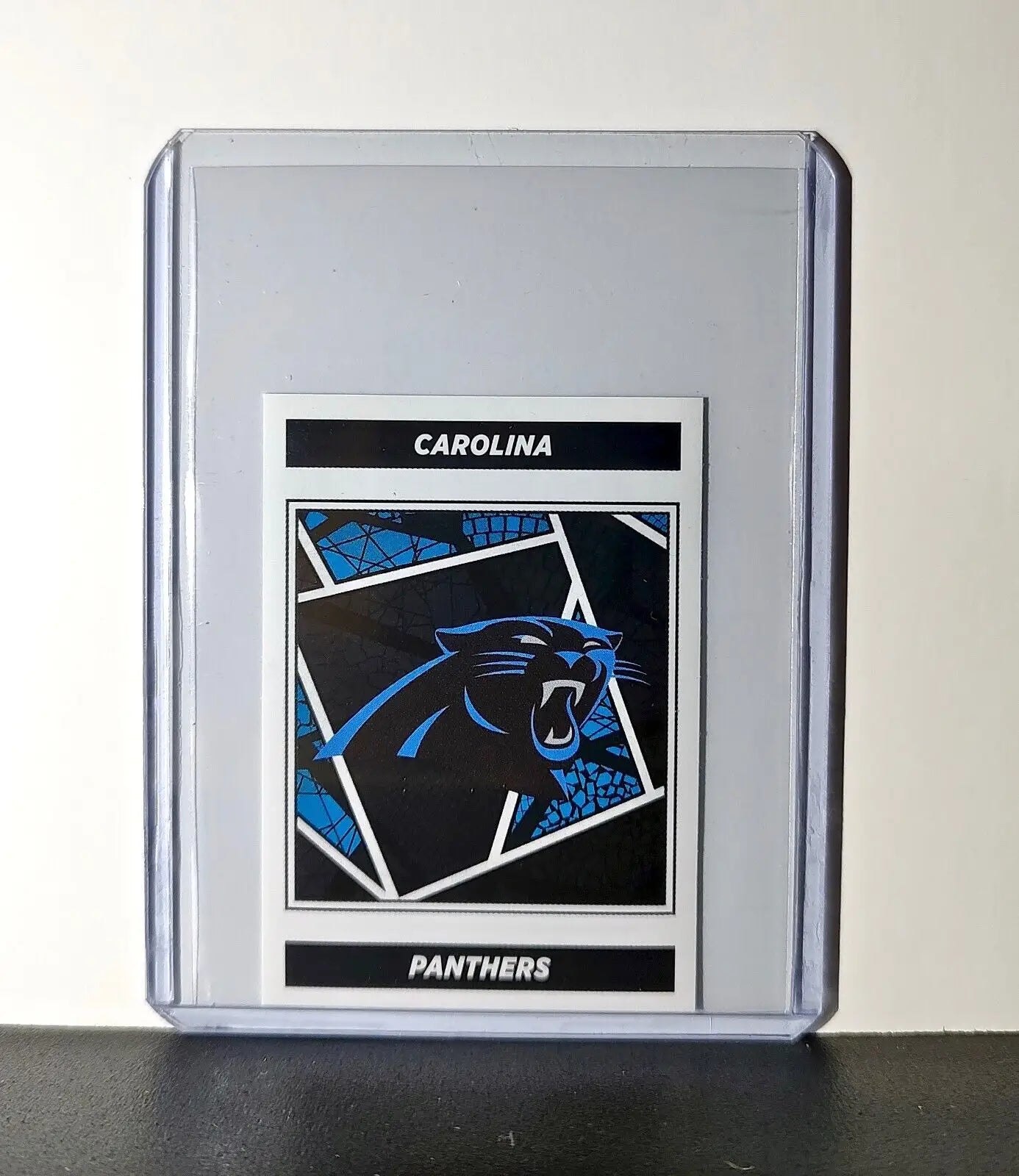 Logo 2024 Panini NFL Sticker #441 Carolina Panthers - Other