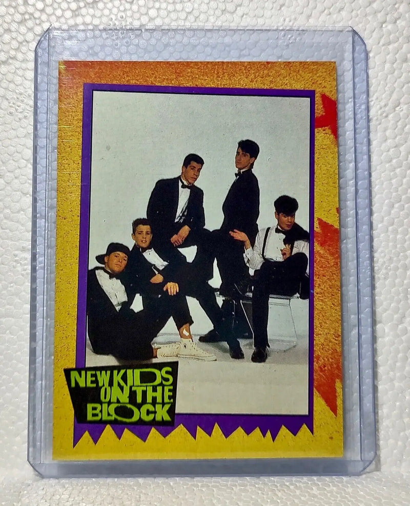 Looks Aren’t Everything 1989 New Kids on the Block #10 Trading Card
