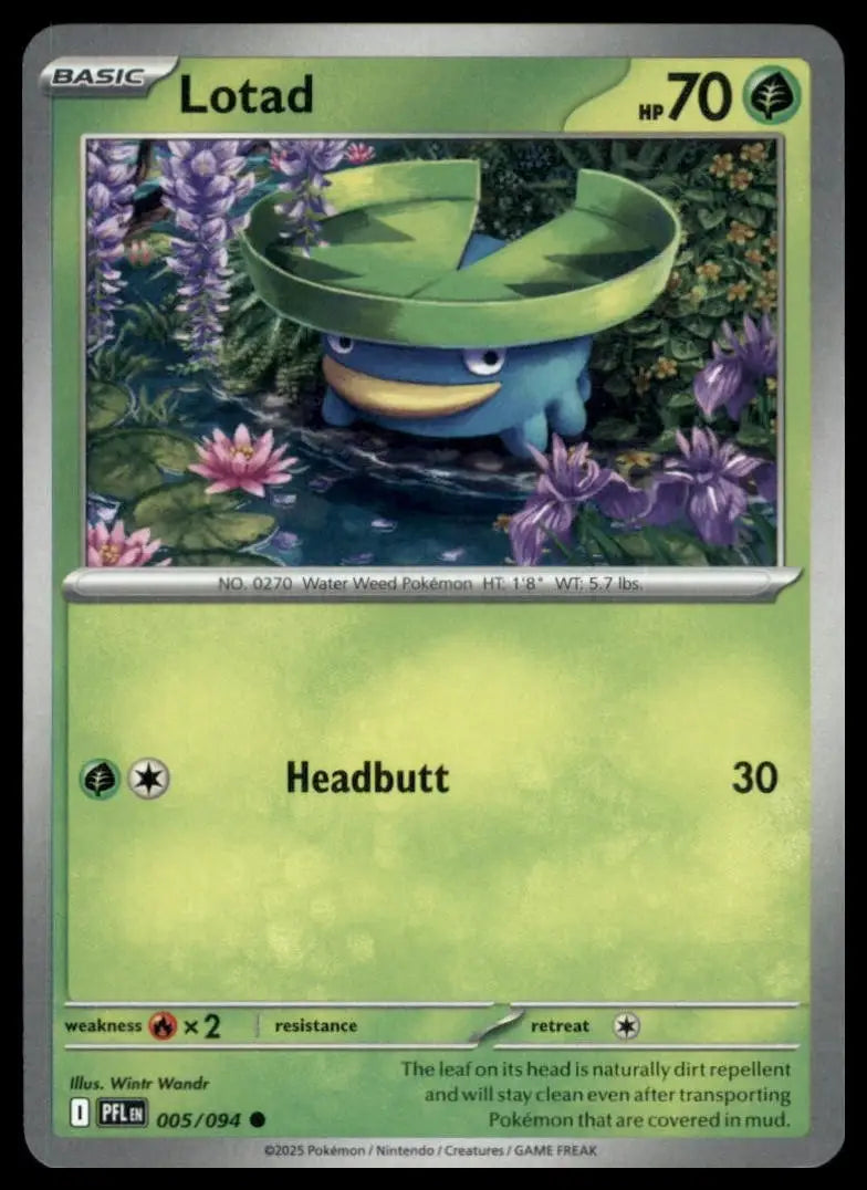 Lotad 005/094 Me02: Phantasmal Flames Regular Pokemon - Pokémon Card Single