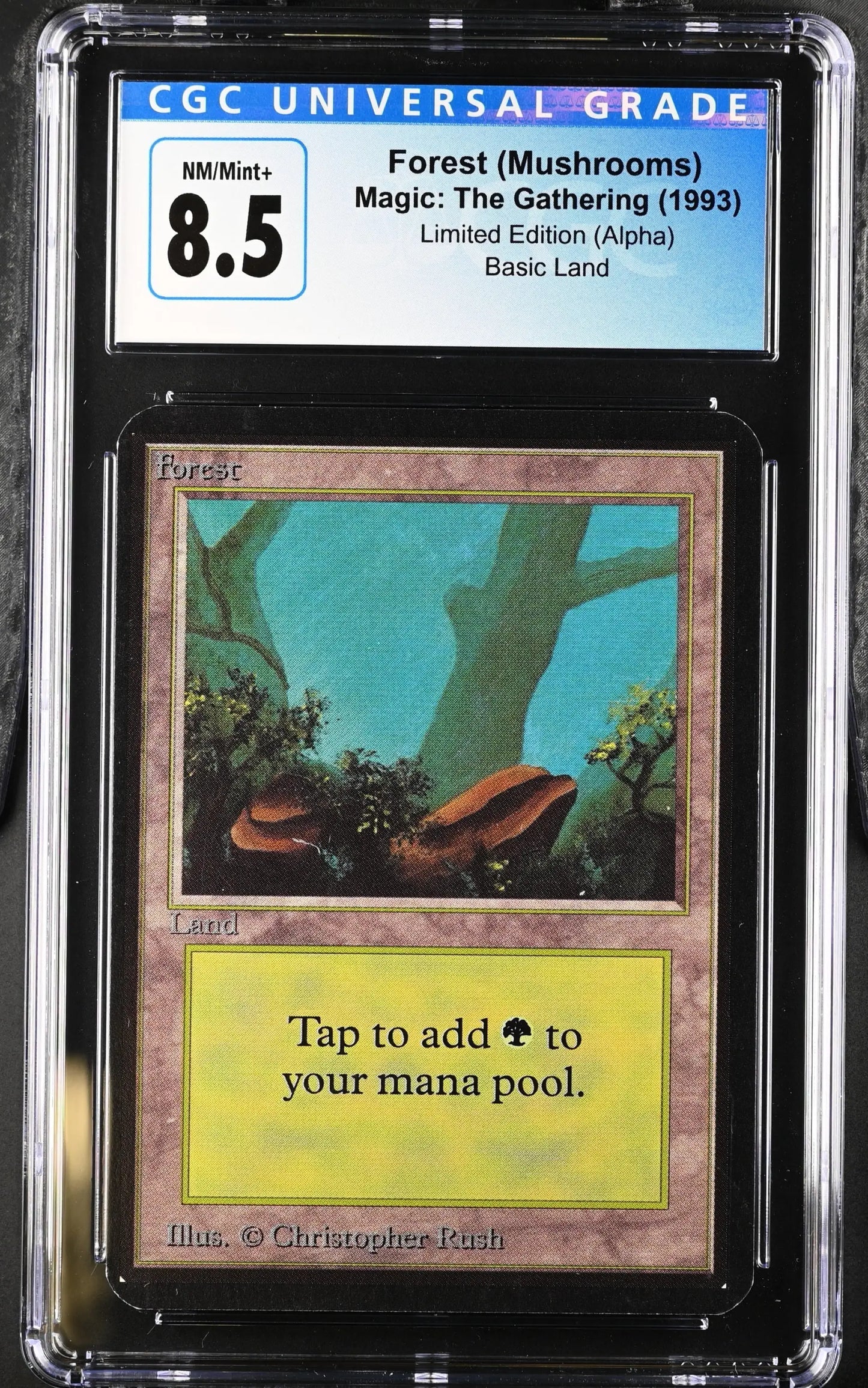 Magic: The Gathering MTG Forest (294) [Alpha Edition] Graded CGC 8.5 NM/Mint+ - TCG Card Single