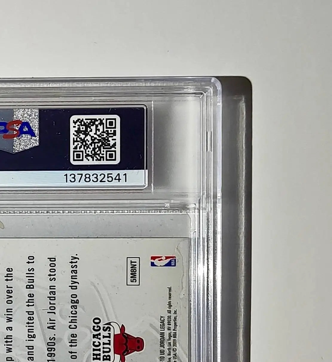 Michael Jordan 2009 Upper Deck Jordan Legacy #MJ-10 Jumbo Card PSA 6 EX-MT - Basketball Card Single