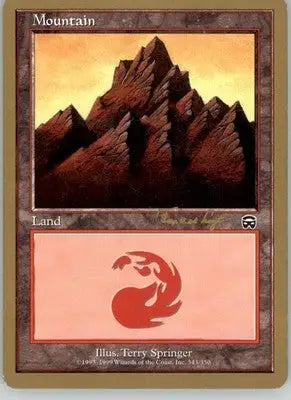 Mountain (343) - 2001 Tom van de Logt World Championship Decks - MP Magic - Magic Card Single