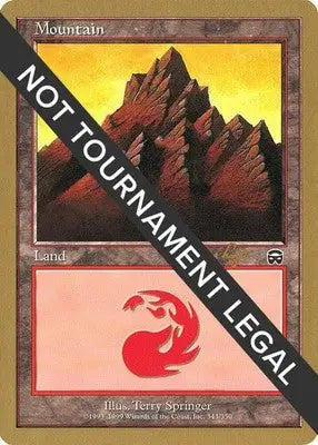 Mountain (343) - 2001 Tom van de Logt World Championship Decks - MP Magic - Magic Card Single