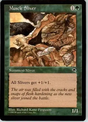 Muscle Sliver C Tempest 238 LP - Other