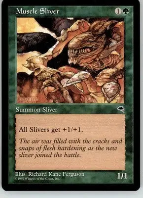 Muscle Sliver - Tempest - 238 - LP Magic: The Gathering - Magic Card Single