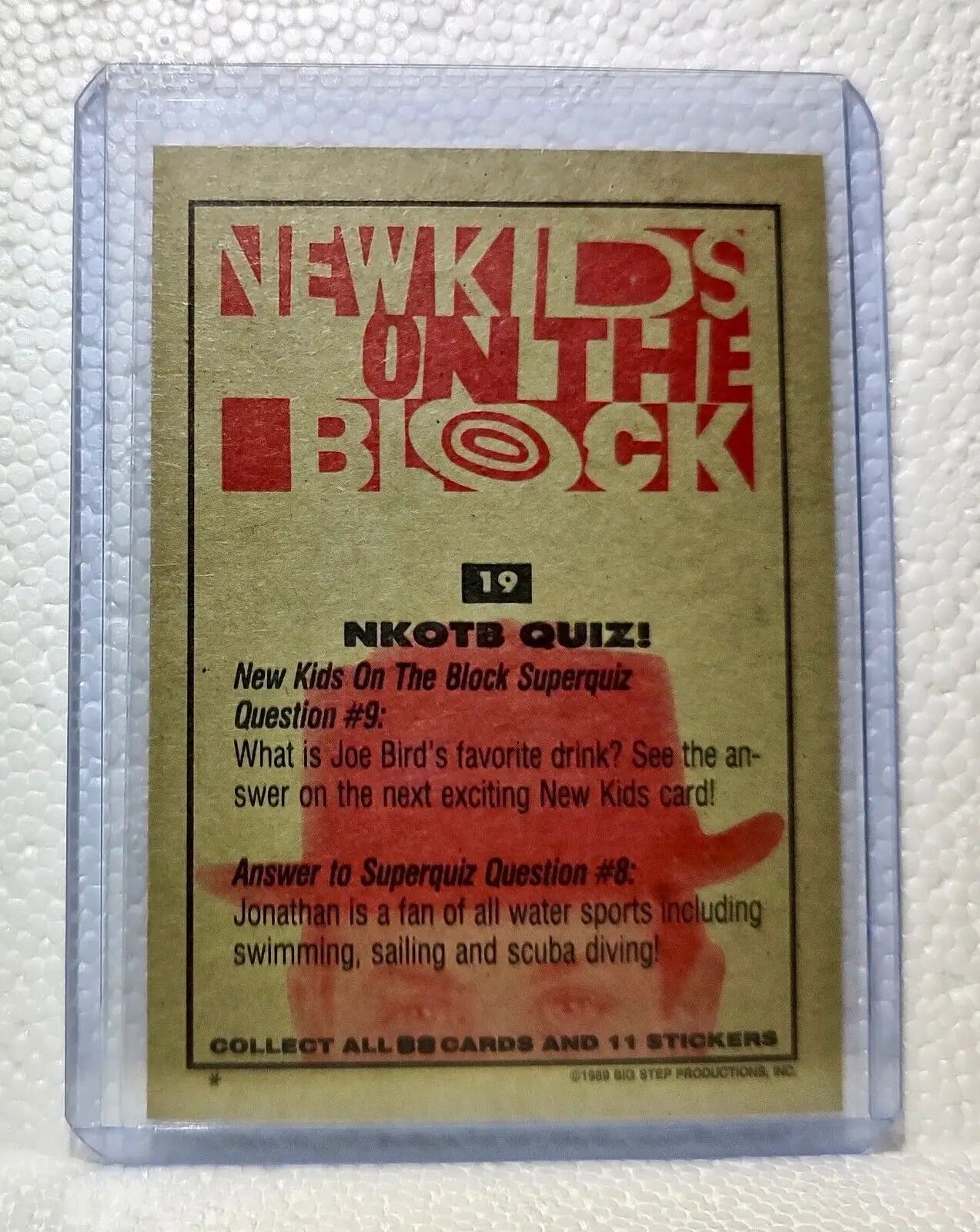 Nkotb Quiz! 1989 New Kids on the Block #19 Trading Card - Entertainment Card Single