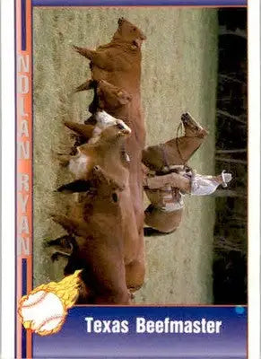 Nolan Ryan - 1991 Pacific Nolan Ryan Texas Express I - #104 - Baseball - Baseball Card Single