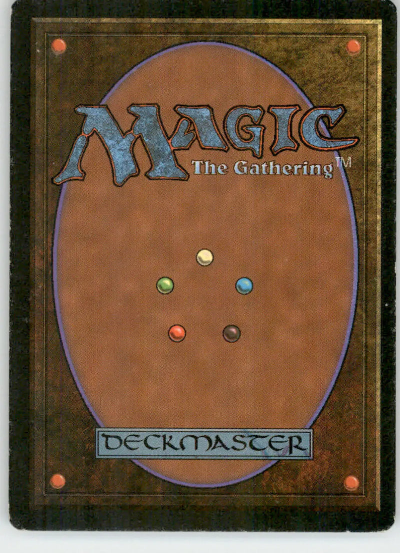 Northern Paladin - Fourth Edition - MP Magic: The Gathering - Magic Card Single