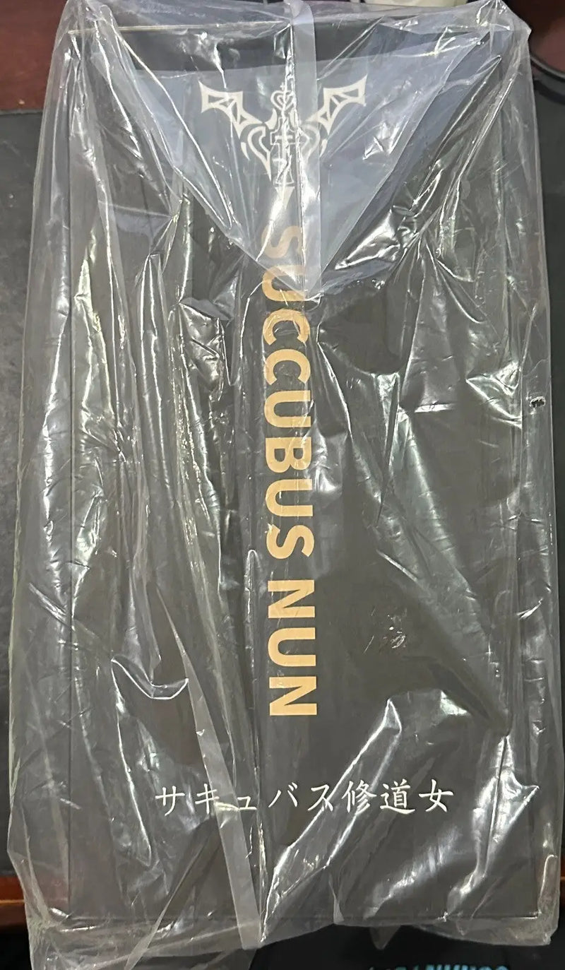 Boxed Sister Succubus Illustrated PVC Fig Deluxe in plastic wrap sealed new
