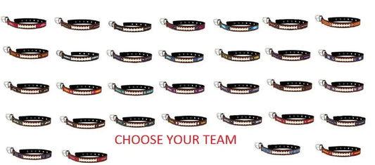 Officially licensed leather pet collar featuring sports-themed team colors and names