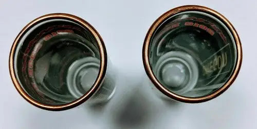 Oregon Ducks - University of Oregon- 2010 Rose Bowl -Shot Glasses Lot of 2 - Sports Memorabilia