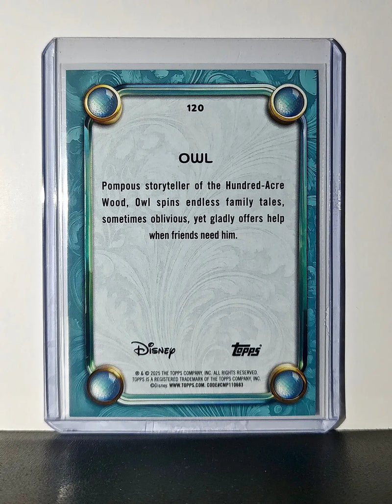 Owl 2025 Topps Disney Wonder #120 Diamond Card Sleeping Beauty