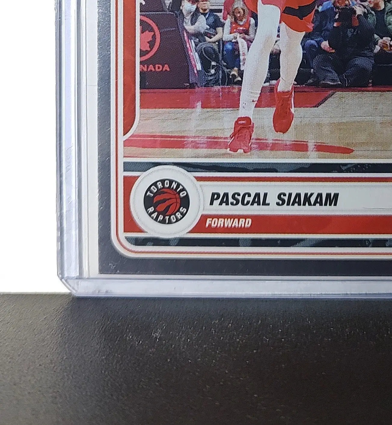 Pascal Siakam 2023-24 Panini NBA Sticker Foil Card #19 Toronto Raptors - Basketball Card Single