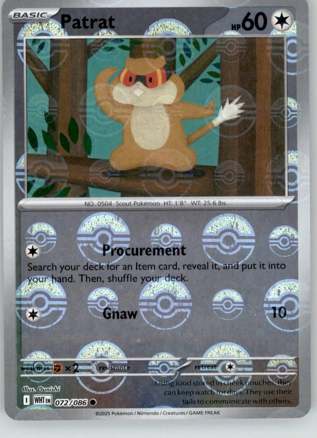 Patrat - Poke Ball Pattern - White Flare - 072/086 - Holo NM Pokemon