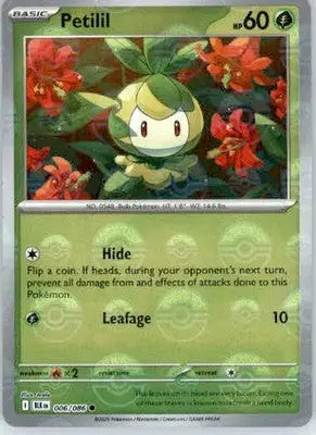 Petilil - Poke Ball Pattern - SV: Black Bolt - 006/086 - Holo NM - Pokémon Card Single