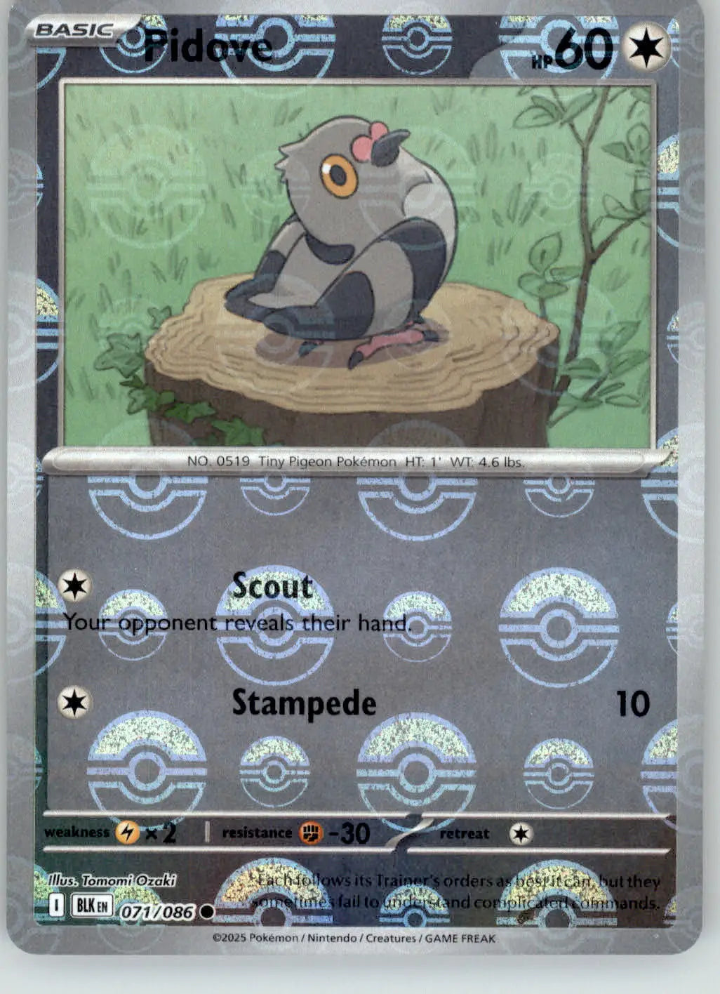 Pidove - Poke Ball Pattern - Black Bolt - 071/086 - Holo NM Pokemon