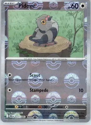 Pidove - Poke Ball Pattern - SV: Black Bolt - 071/086 - Holo NM - Pokémon Card Single