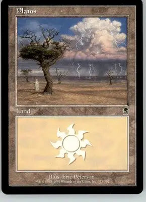 Plains (333) - Odyssey - 333 - LP Magic: The Gathering - Magic Card Single