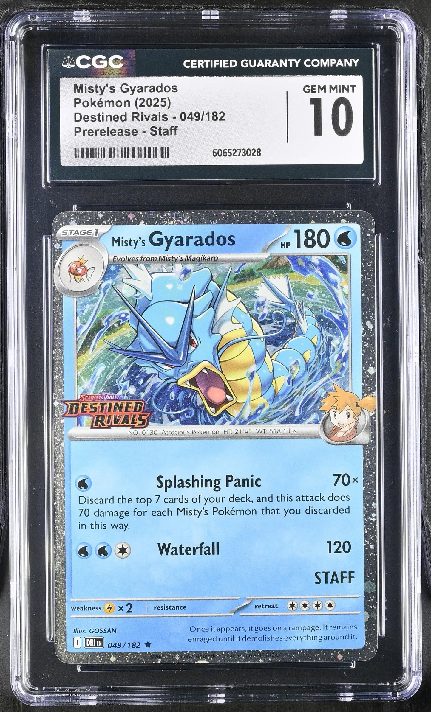 Pokemon [S&V: Destined Rivals] Prerelease Staff Set of 4 CGC 10 Gem Mint - Pokémon Card Single