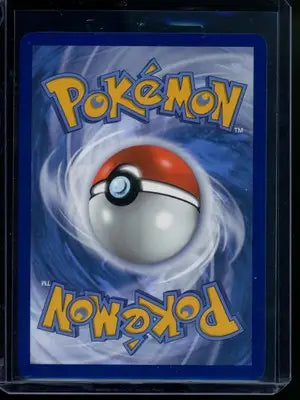 Pokemon Terapagos #228/142 2024 Pokemon Temporal Forces - Pokémon Card Single