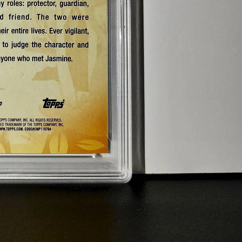 Rajah 2025 Topps Disney #FF-12 Furry Friends Card Aladdin PSA 9 MT - Non-Sports Card Single