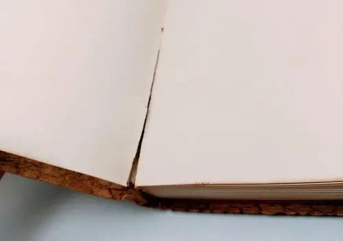 Open blank journal with textured brown leather cover inspired by Miles Standish circa 1900