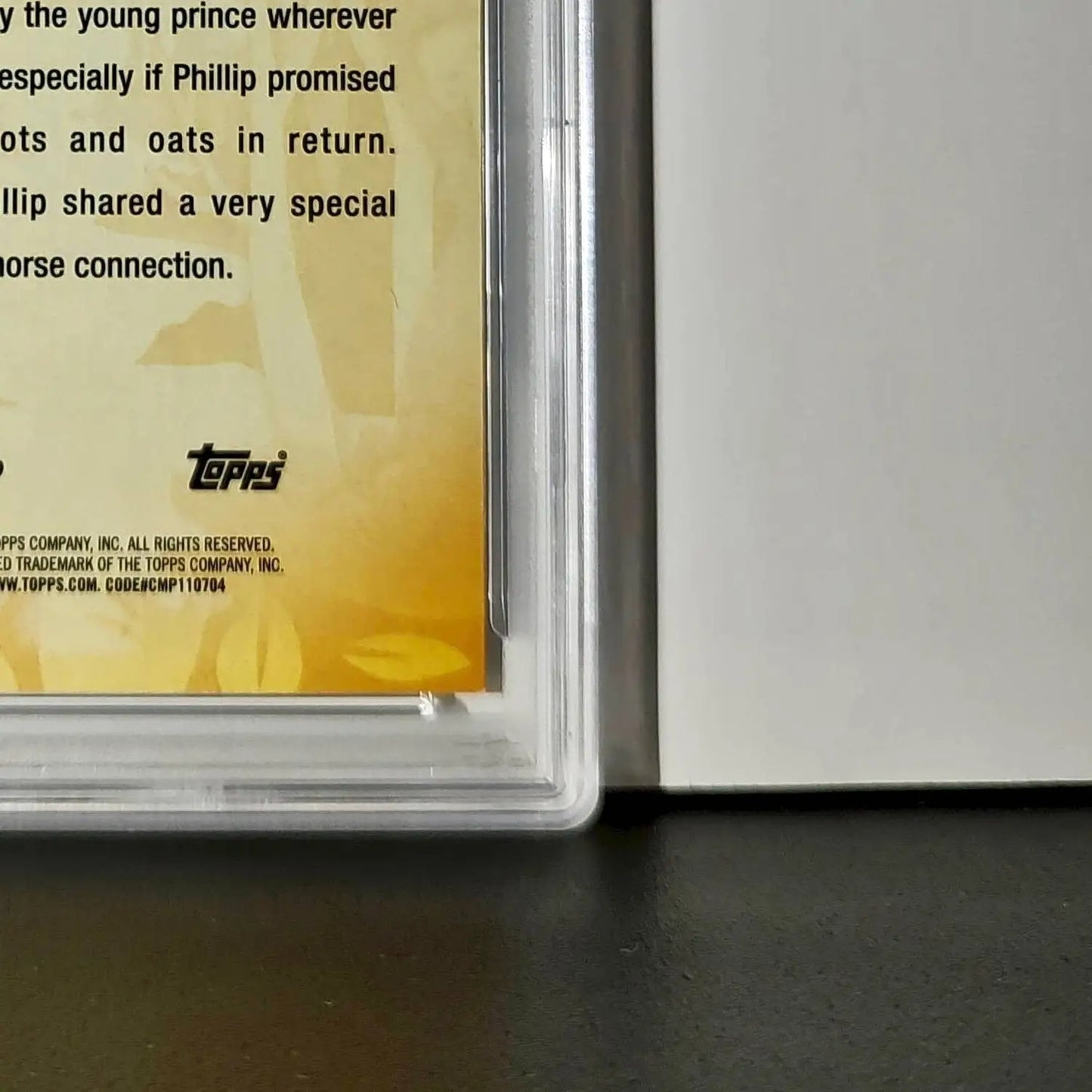 Samson 2025 Topps Disney #FF-8 Furry Friends Card Sleeping Beauty PSA 9 - Non-Sports Card Single