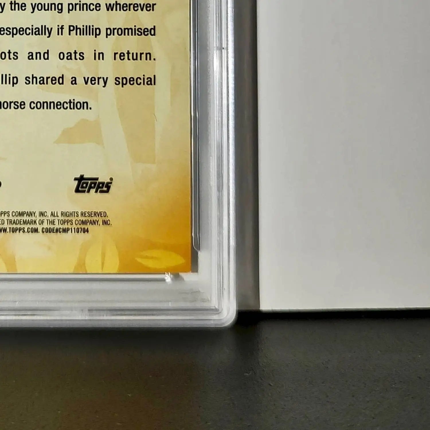 Samson 2025 Topps Disney #FF-8 Furry Friends Card Sleeping Beauty PSA 9 - Non-Sports Card Single