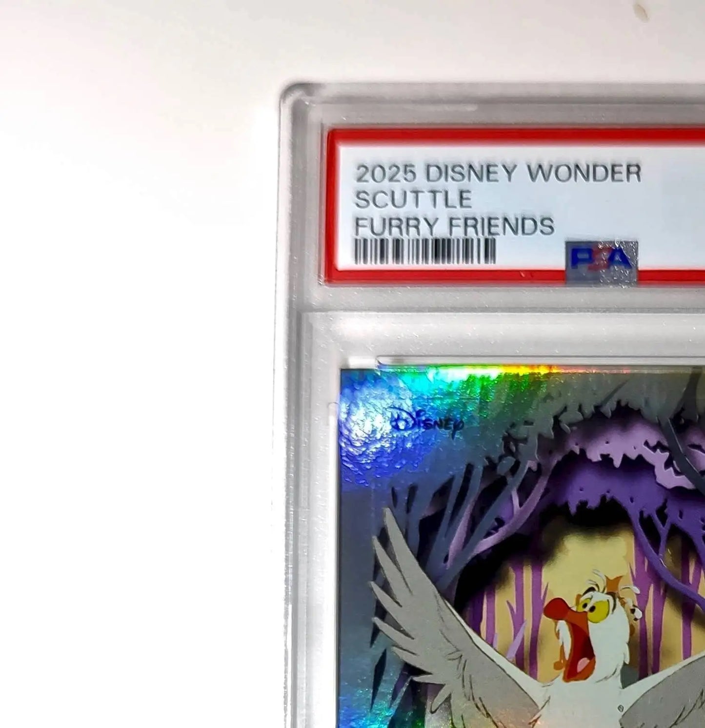 Scuttle 2025 Topps Disney #FF-9 Furry Friends Card The Little Mermaid PSA 9 Mint - Non-Sports Card Single