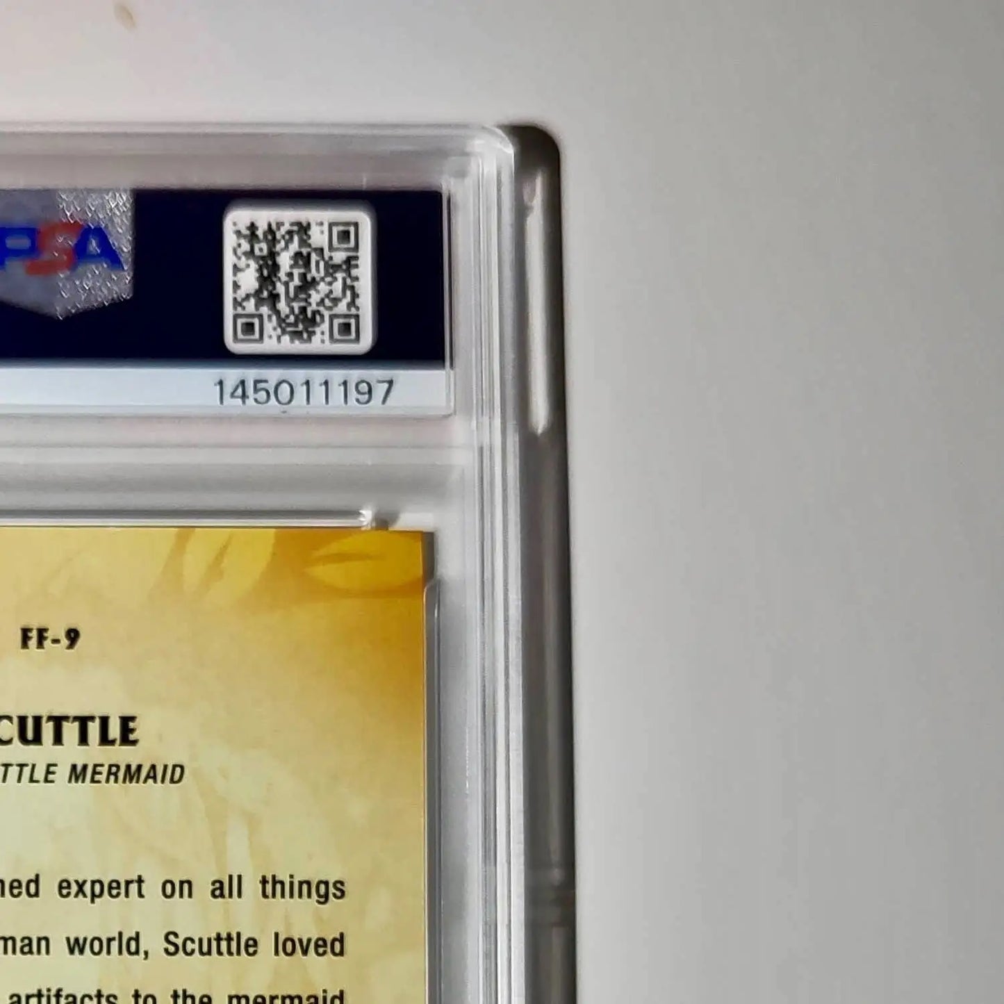 Scuttle 2025 Topps Disney #FF-9 Furry Friends Card The Little Mermaid PSA 9 MT - Non-Sports Card Single
