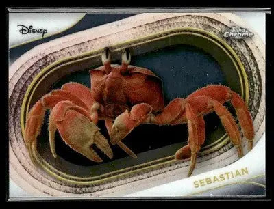 ???? Sebastian, 2025 Topps Chrome Disney #64 ????
