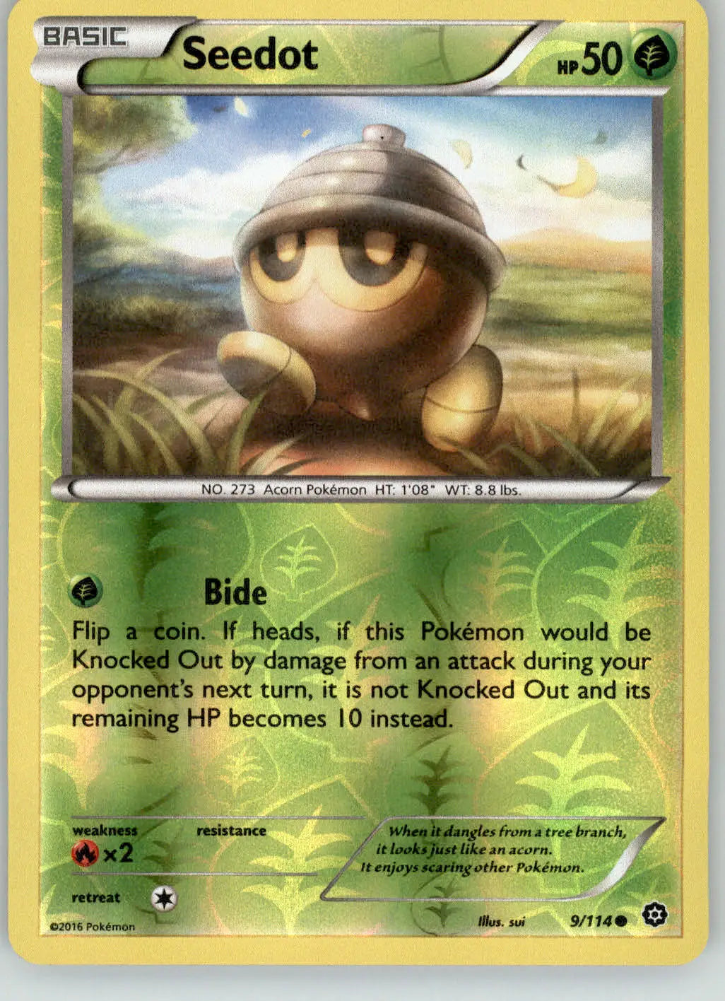 Seedot - Steam Siege - 9/114 - Reverse Holo LP Pokemon - Pokémon Card Single