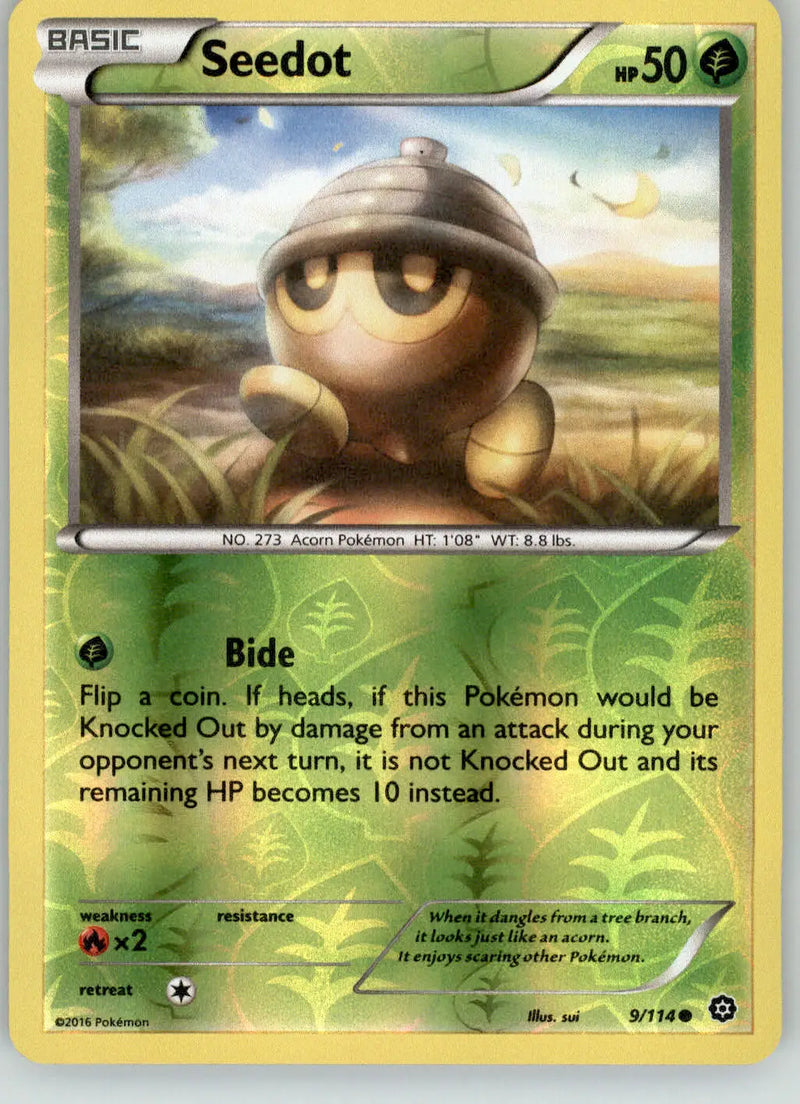 Seedot - Steam Siege - 9/114 - Reverse Holo LP Pokemon - Pokémon Card Single