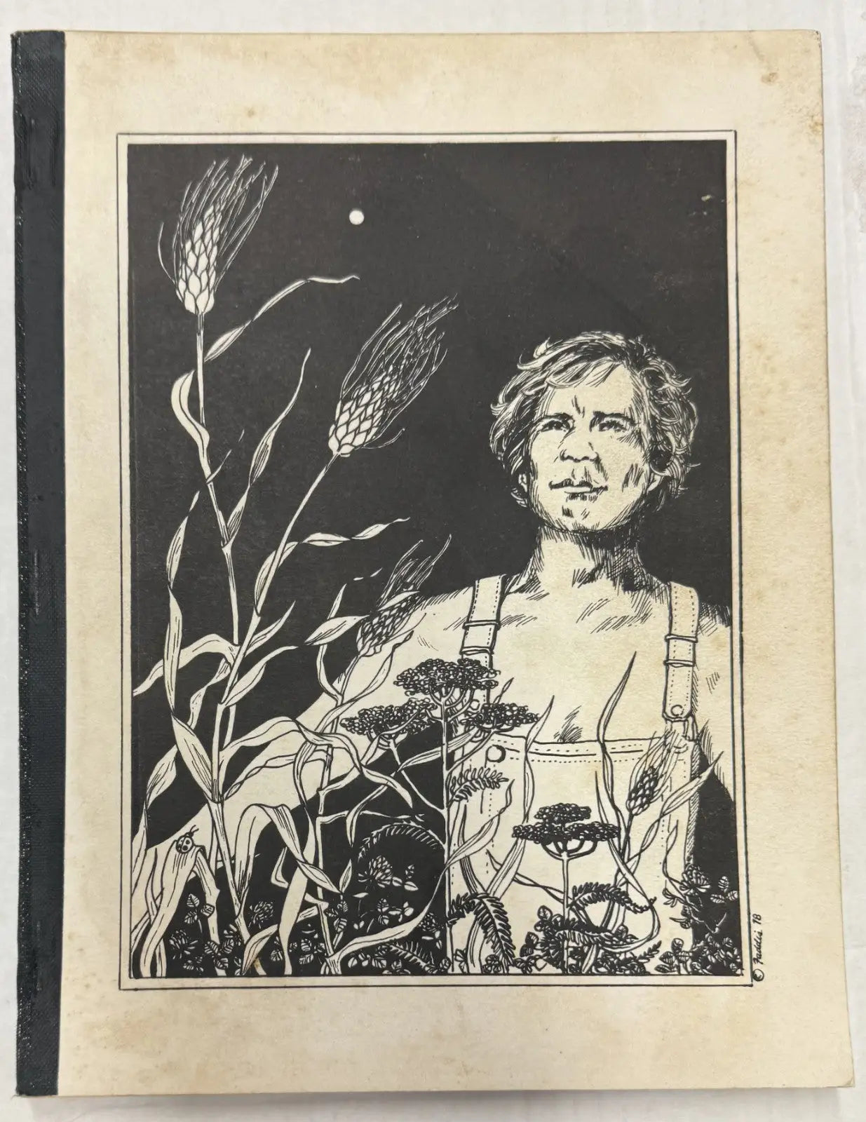 Star Trek TOS Fanzine ’Rising Star’ GEN Captain James T. Kirk 1978 - Entertainment Memorabilia