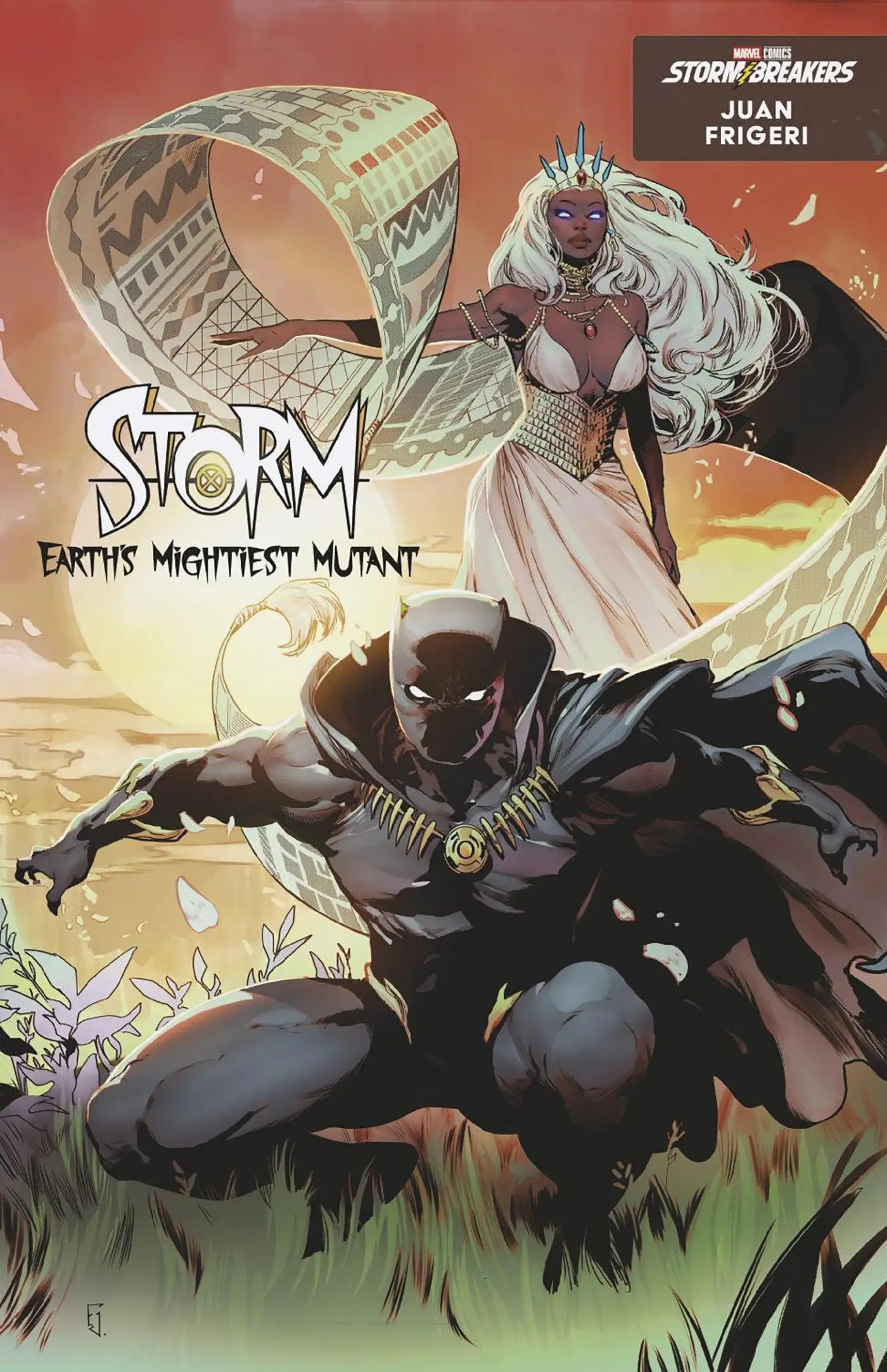 Storm: Earth’s Mightiest Mutant #1 Juan Frigeri Black Panther Variant - Back Issues