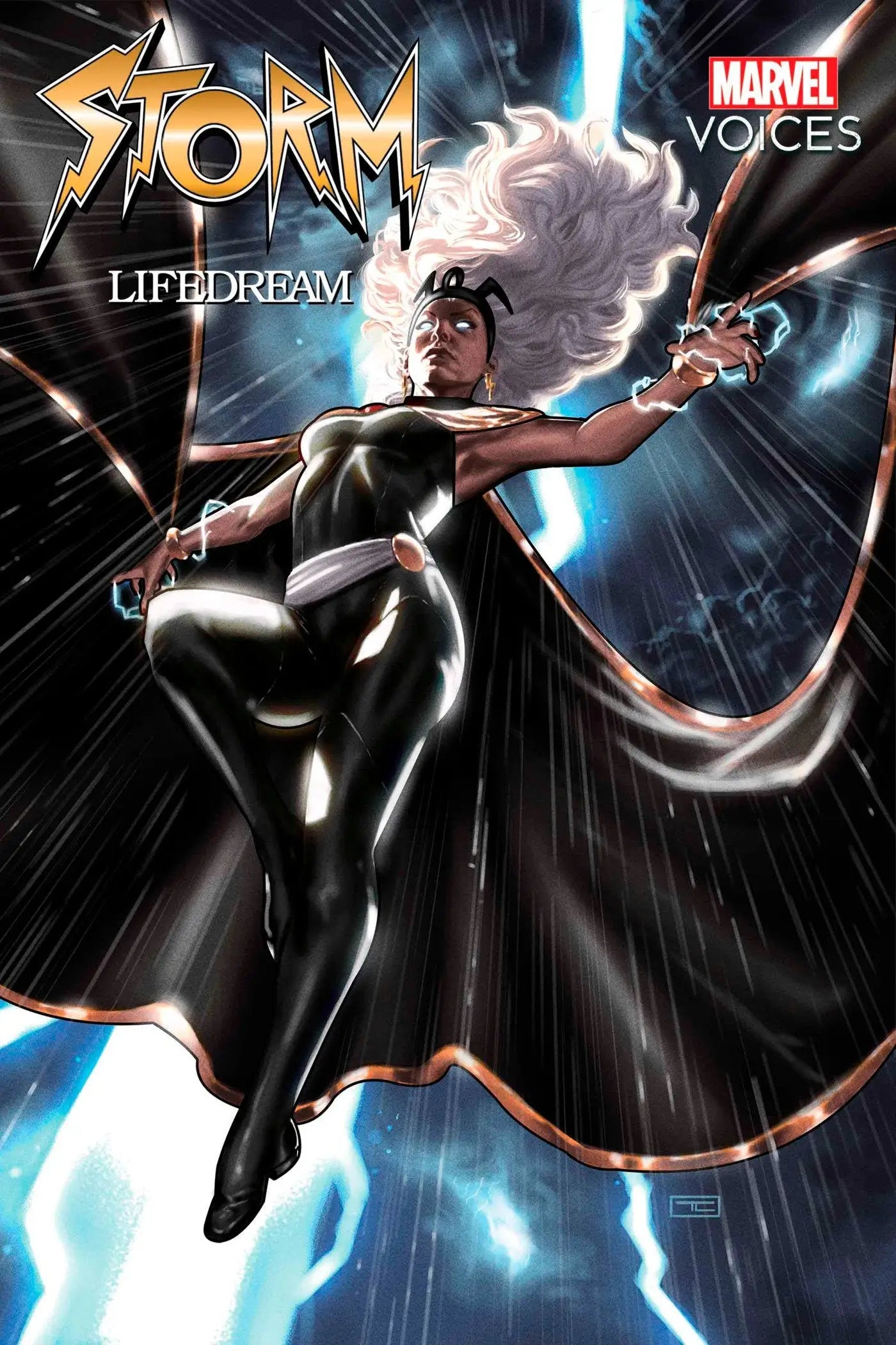 Storm: Lifedream #1 - Back Issues