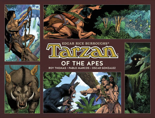 Tarzan Of The Apes Hardcover Volume 01 Used - Graphic Novels