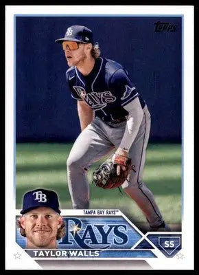 Taylor Walls 2023 Topps #625 Tampa Bay Rays - Baseball Card Single