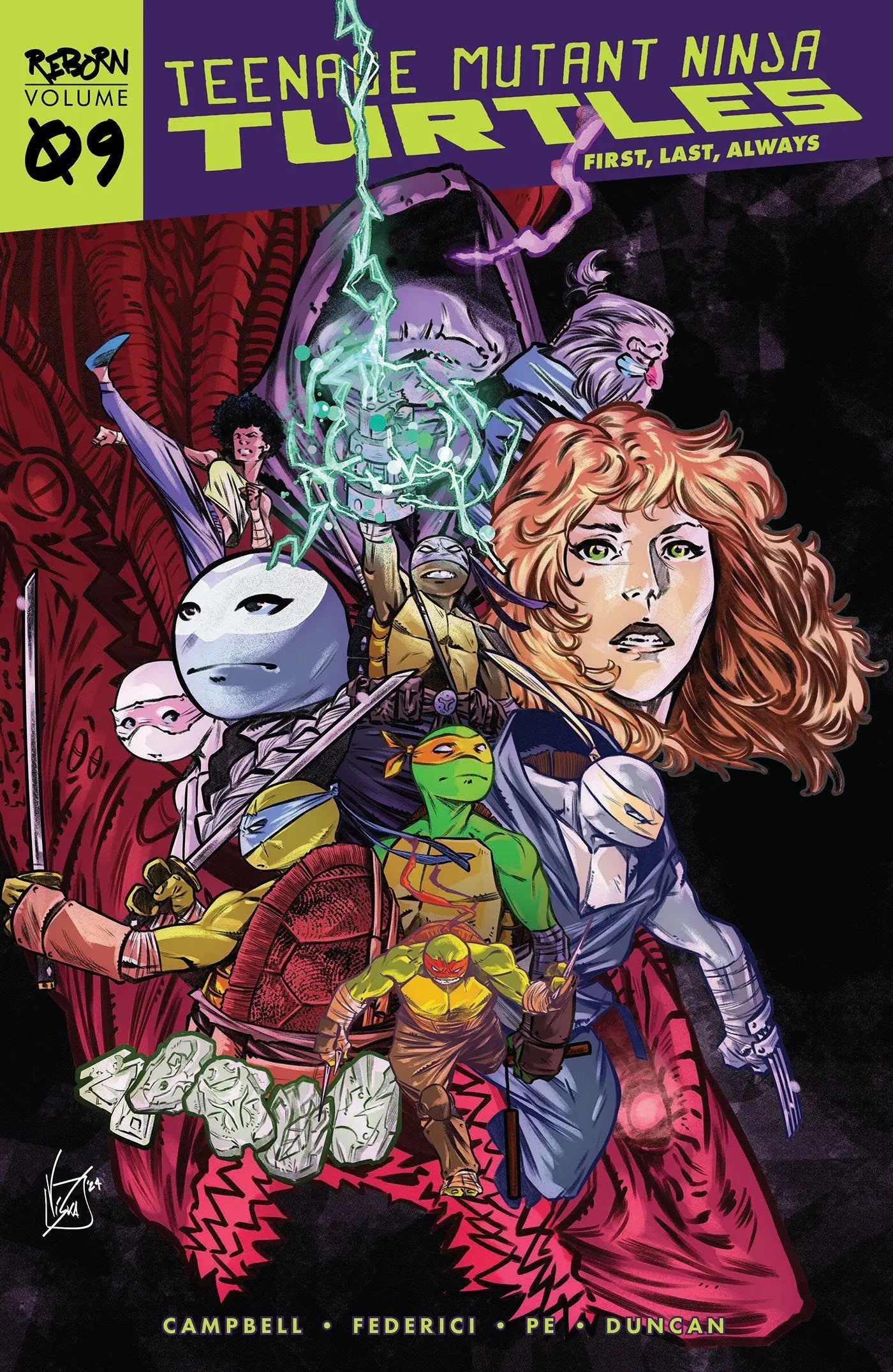 Teenage Mutant Ninja Turtles comic book cover from Teenage Mutant Ninja collection Volume 9