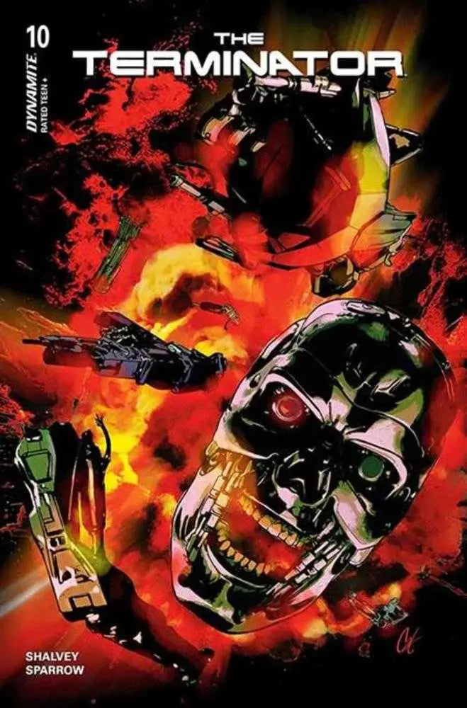 Terminator #10 Cover C Cat Staggs Variant - Back Issues