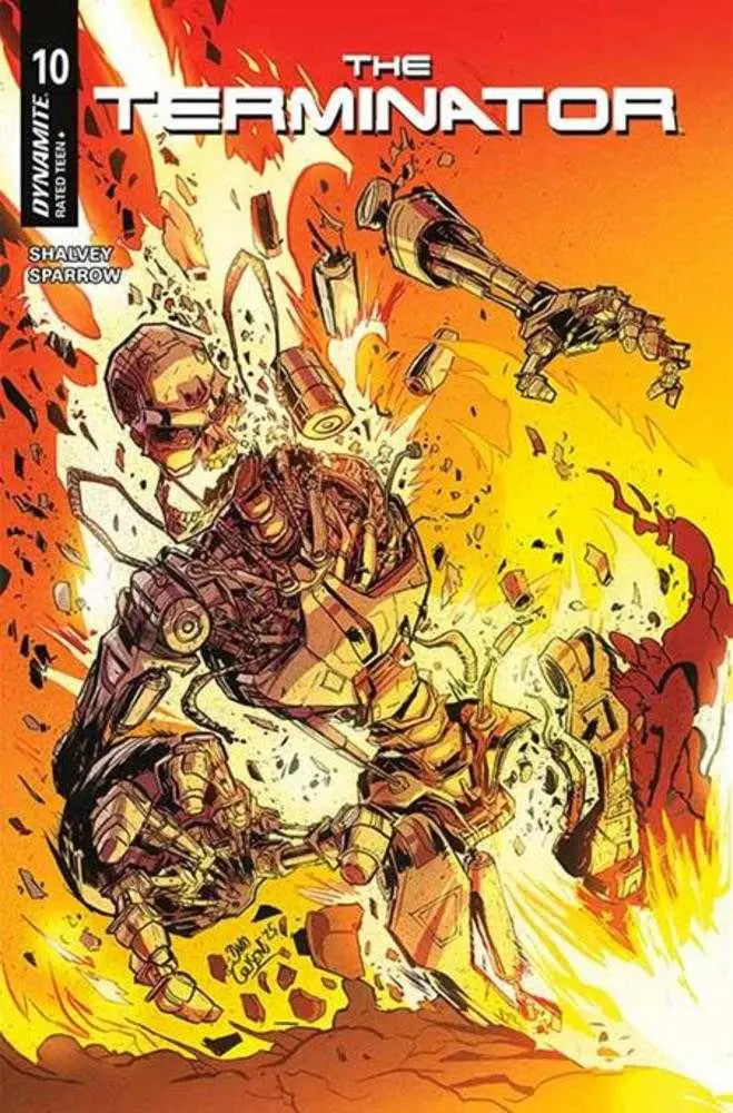Terminator #10 Cover D David Cousens Variant - Back Issues