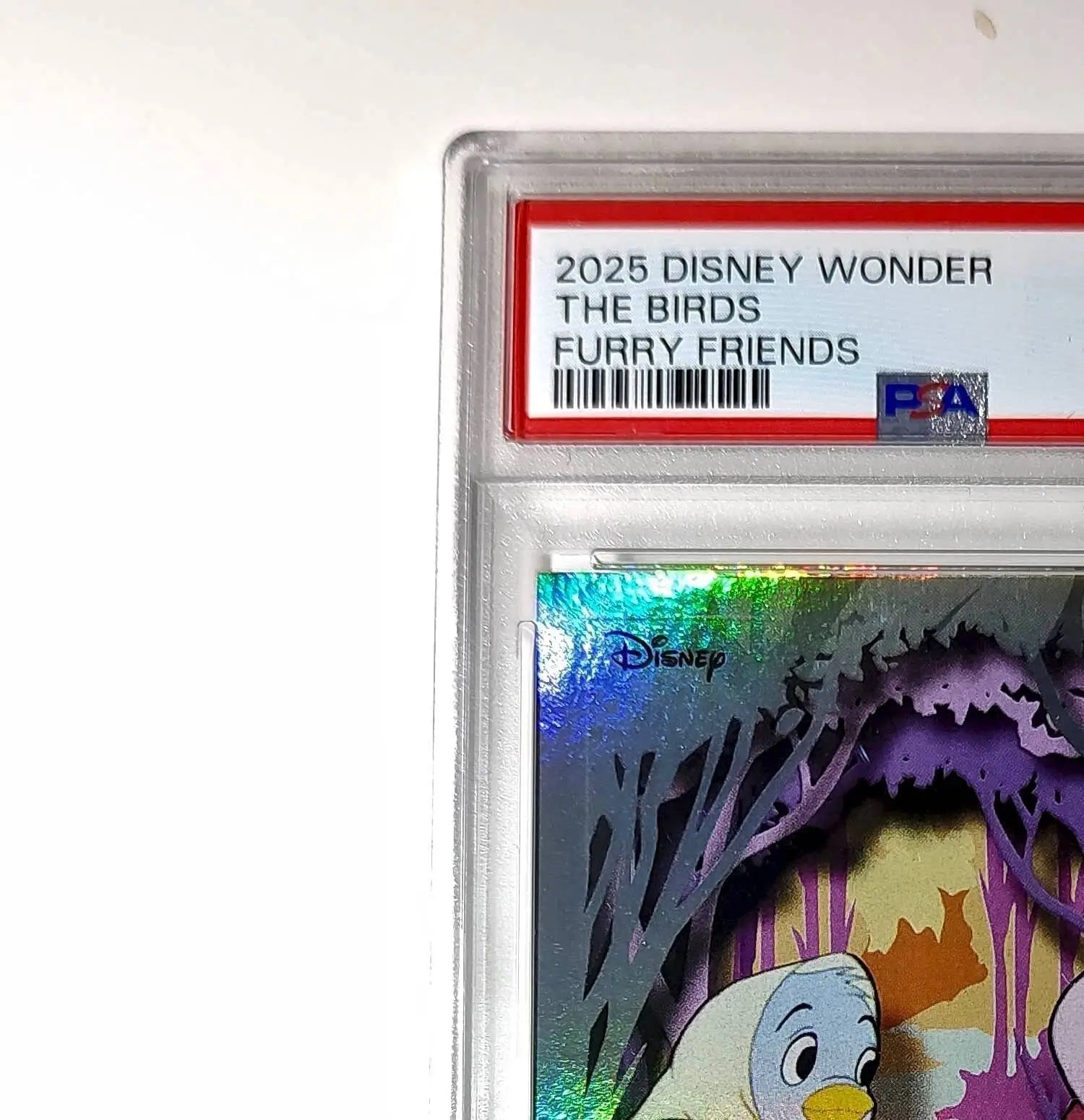 The Birds 2025 Topps Disney #FF-5 Furry Friends Card Cinderella PSA 8 - Non-Sports Card Single