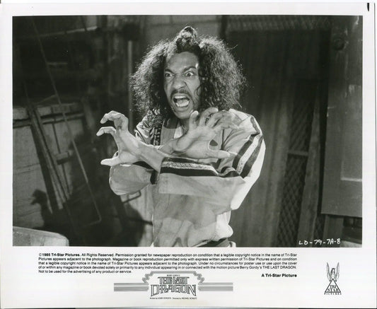 The Last Dragon 1985 PRESS PHOTO SET 12 STILLS TAIMAK VANITY Sho-Nuff GORDY - Entertainment Memorabilia