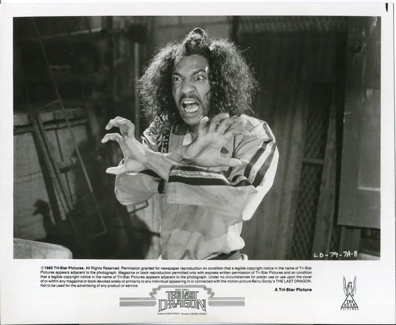 The Last Dragon 1985 PRESS PHOTO SET 12 STILLS TAIMAK VANITY Sho-Nuff GORDY - Entertainment Memorabilia