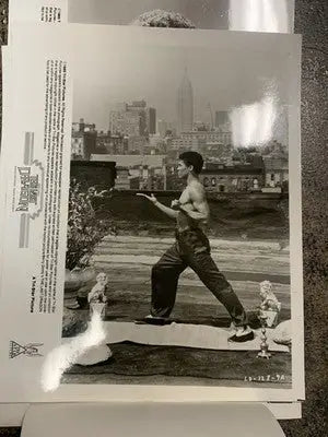 The Last Dragon 1985 PRESS PHOTO SET 12 STILLS TAIMAK VANITY Sho-Nuff GORDY - Entertainment Memorabilia