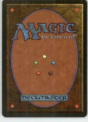 The Rack - Fourth Edition - 370 - LP Magic: The Gathering - Magic Card Single