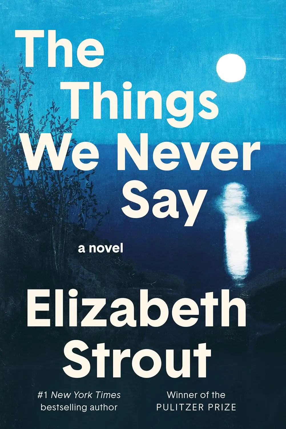 The Things We Never Say: A Novel Hardcover - Other