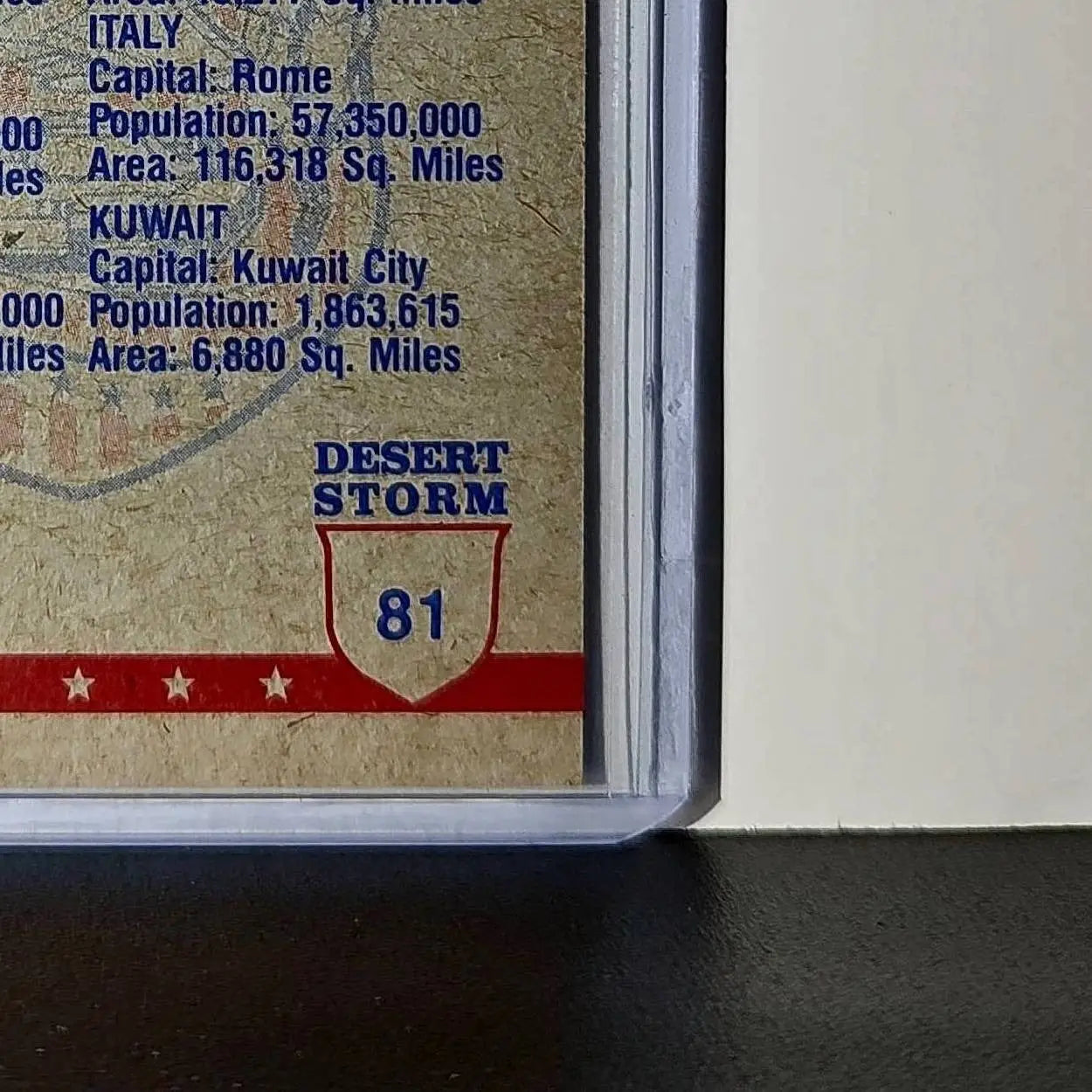 The View from Above 1991 Topps Desert Storm #81 Card